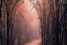 熊猫tv:全国人均体育场地面积“破.