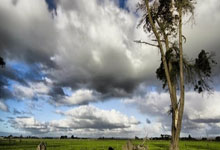 熊猫tv:DO:不确定利物浦是否在追求赫伊森,他们可能需要先出售中卫.