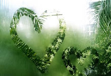 熊猫tv:一日英超动向:曼联考虑签回“鸭子”?阿森纳主力遭遇赛.