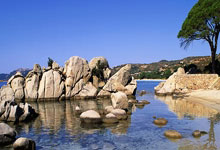 熊猫tv:曝国足考虑归化塔利斯卡,年薪900万美元,中超无人买单.